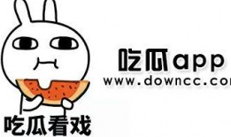 网红爆料吃瓜黑料解读,吃瓜黑料背后的真相与反思