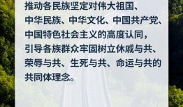 新闻爆料讲故事文案范文,一场惊心动魄的真相追寻之旅