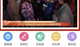 迪拜爆料网赌视频大全集,揭秘赌场风云