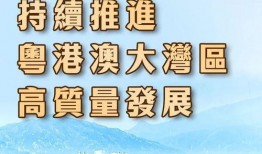 大湾区最新闻爆料热线,新闻热线揭露最新动态！”
