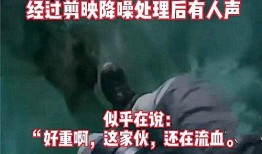 吉林阿冰爆料事件视频播放,揭秘事件背后真相