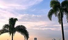 新嘉坡最新爆料,揭秘城市魅力背后的故事